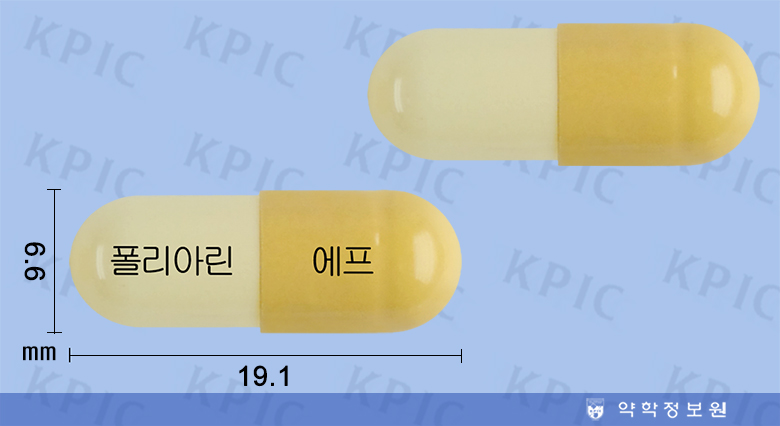 식별 이미지