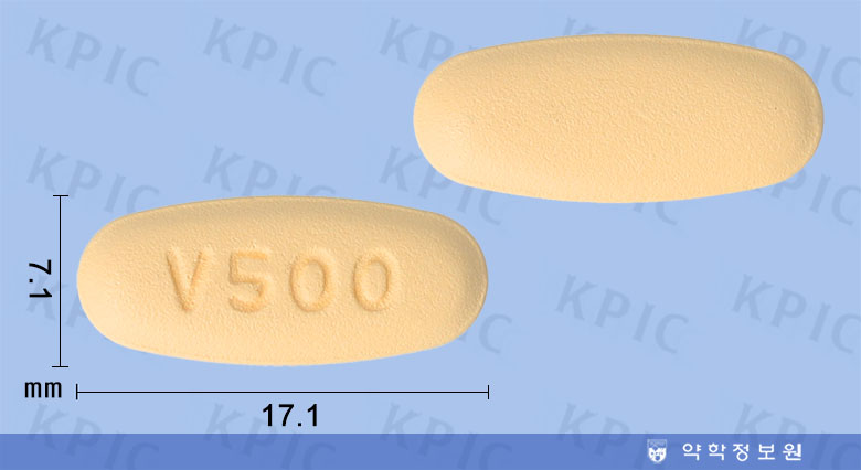 빌다글메트정50/500mg의 약품 형태 사진